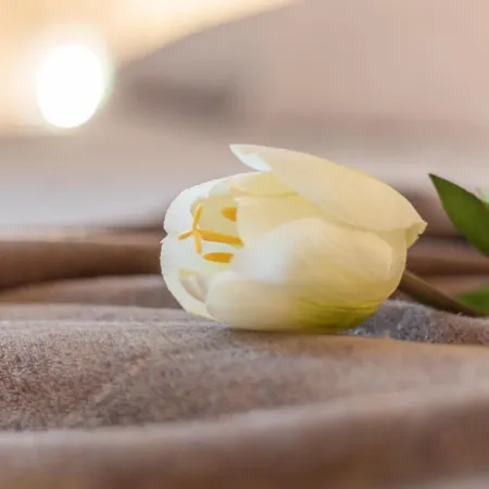 La Casa Rosa * تيرني