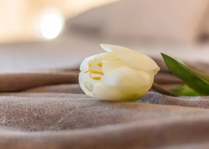 La Casa Rosa * Terni